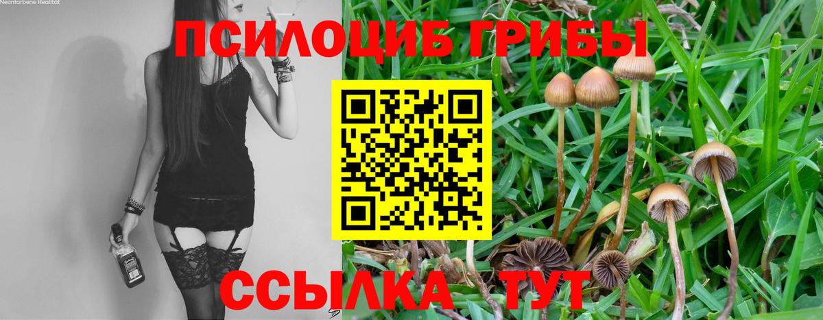 Псилоцибиновые грибы ЛСД  Галлюциногенные грибы мицелий  Вход с VPN  Когалым 
